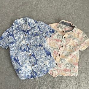 Button up bundle